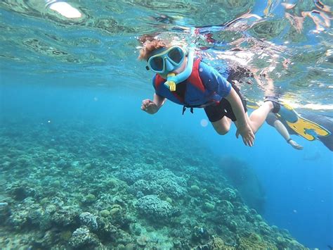 山東哪裏可以浮潛？浮潛體驗與潛水技巧